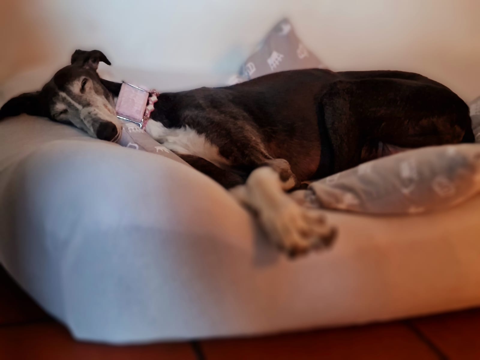 Zwei ältere Damen...